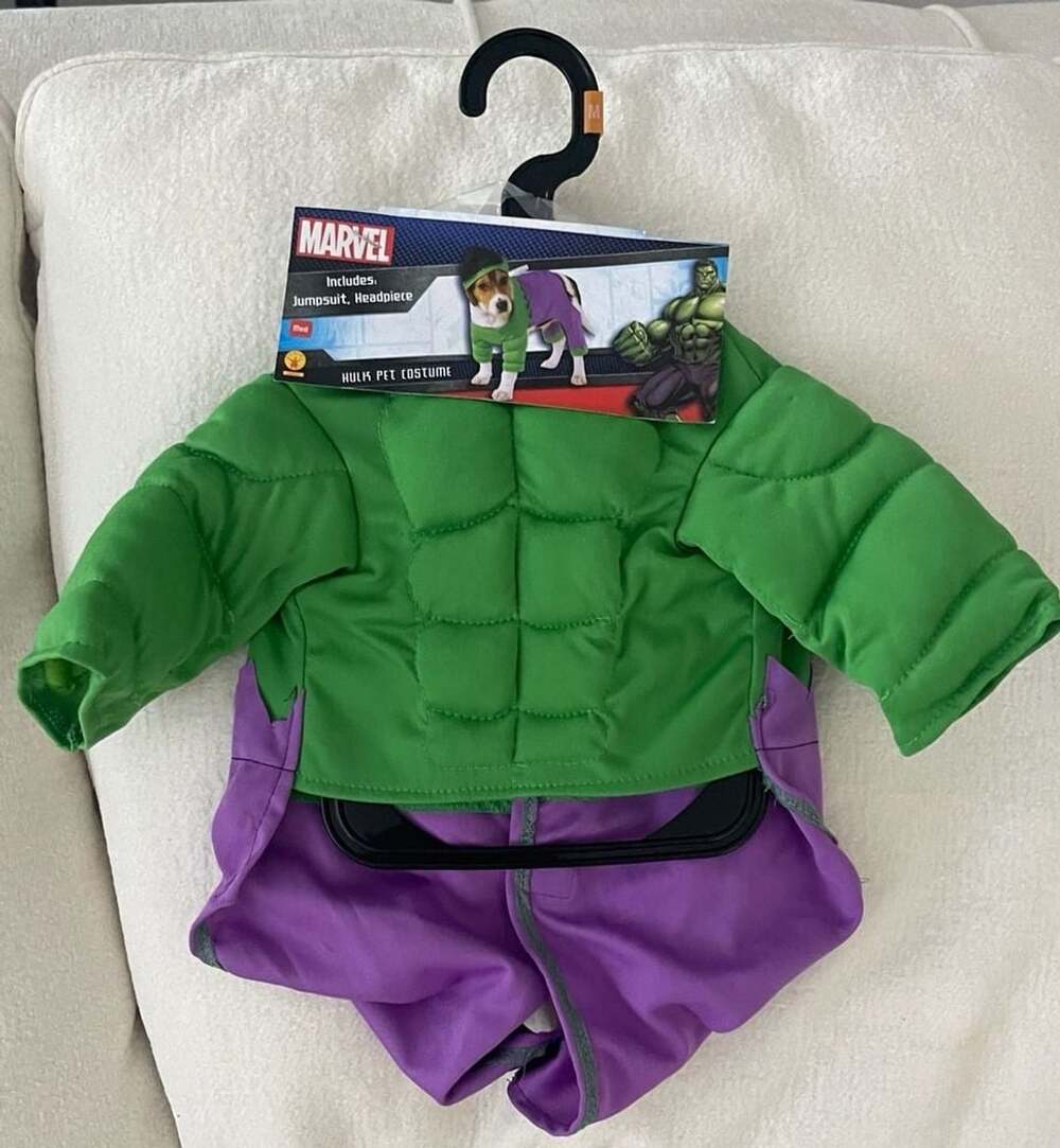 Marvel Hulk Pet Costume Size Medium Dog Halloween Outfit Jumpsuit